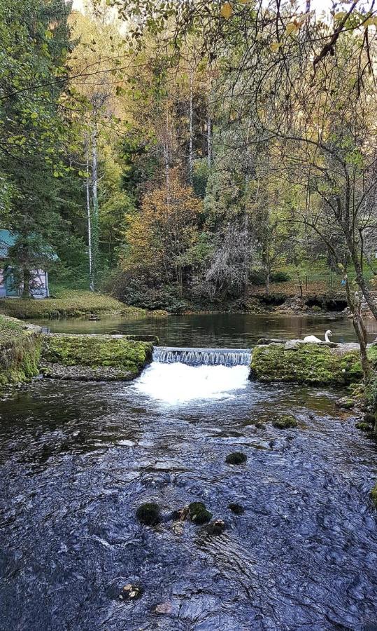 Vrelo Bosne