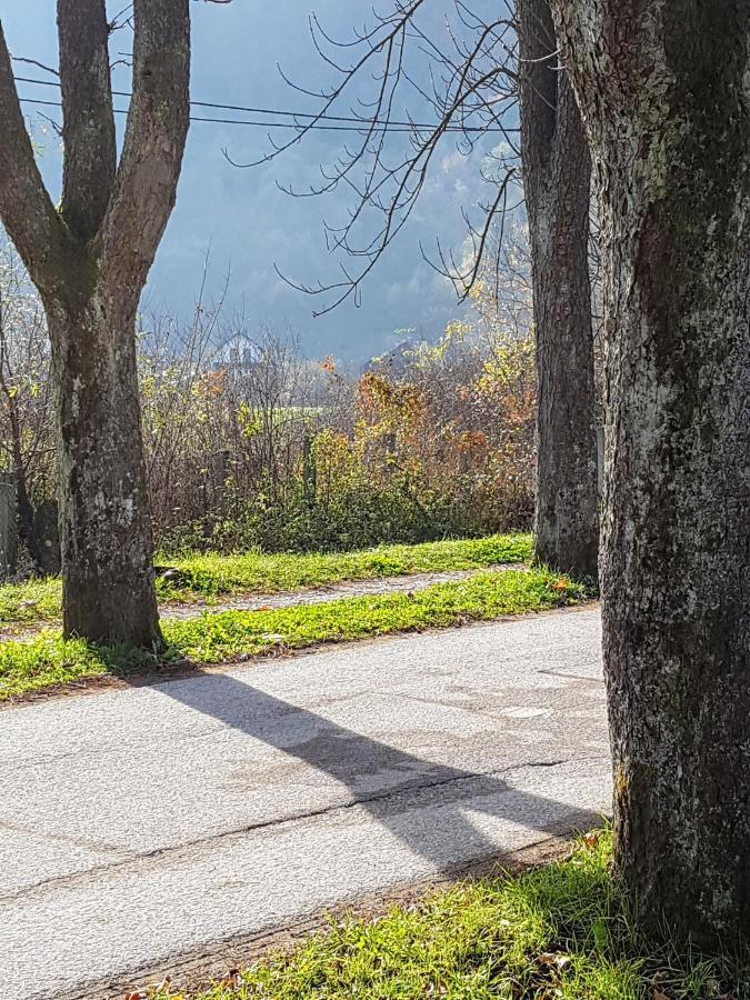 Vrelo Bosne Sarajevo