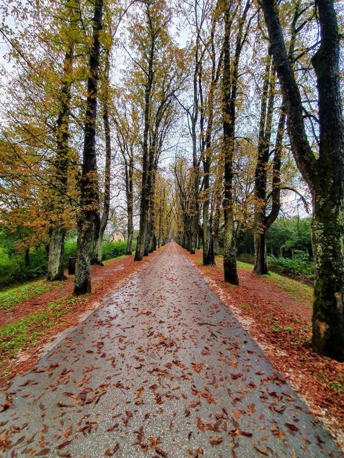 Vrelo Bosne Villa *