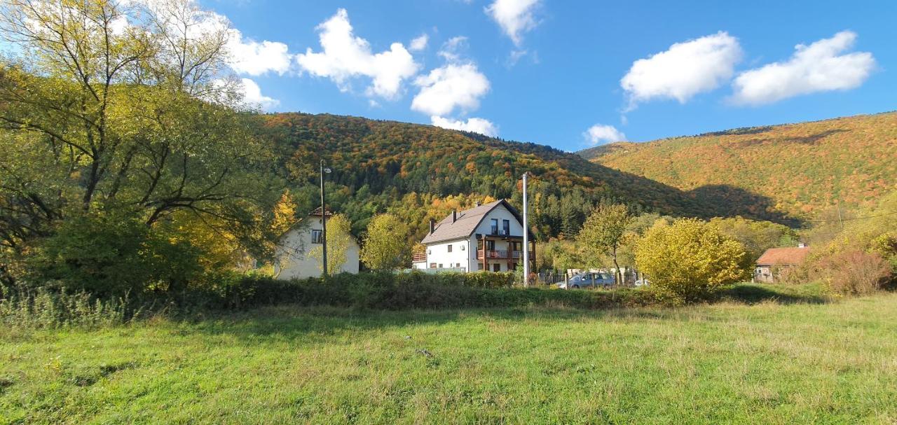 Vrelo Bosne *