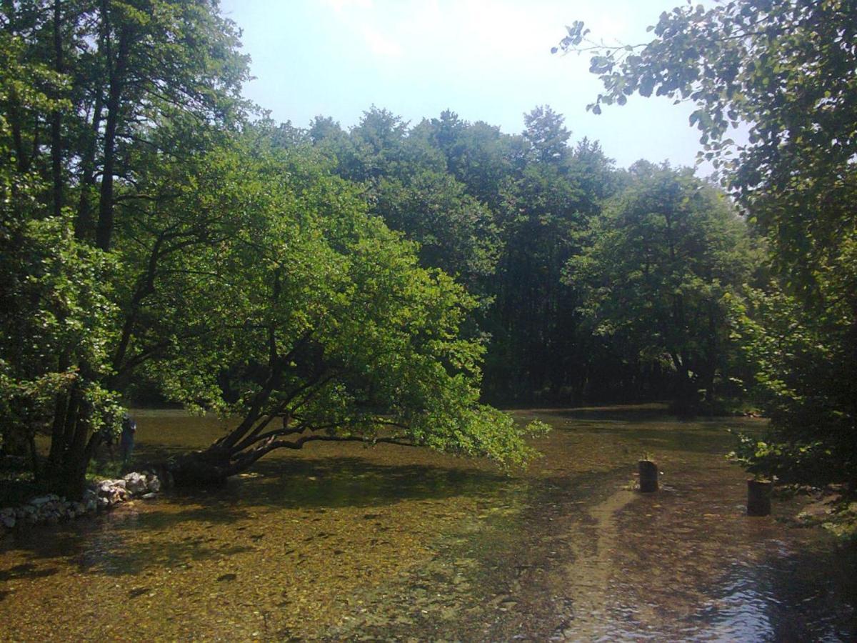 Vrelo Bosne Sarajevo