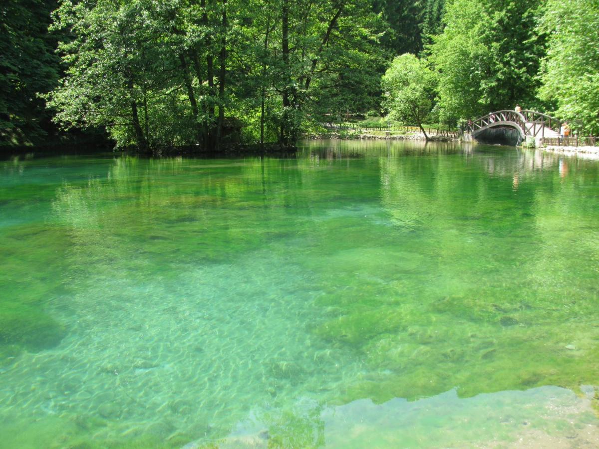 Villa Vrelo Bosne *
