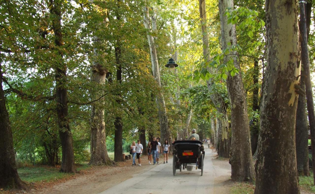 Vrelo Bosne Sarajevo