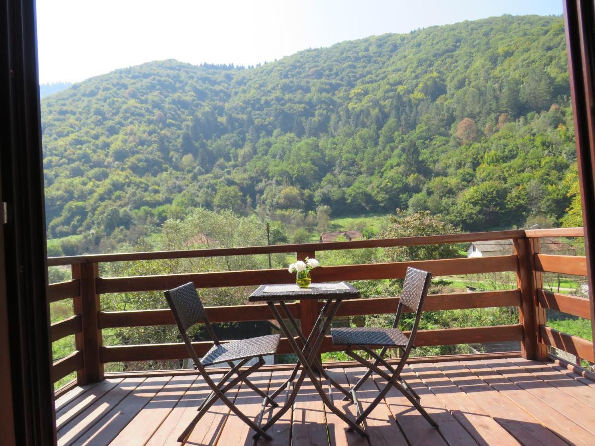 Vrelo Bosne