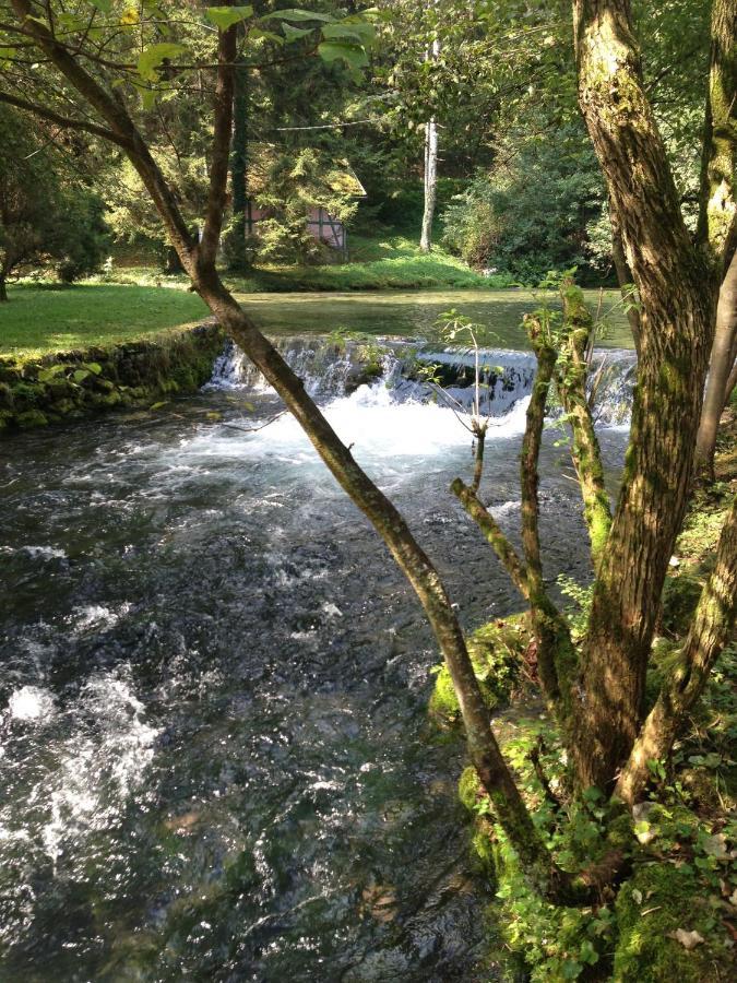 Villa Vrelo Bosne *