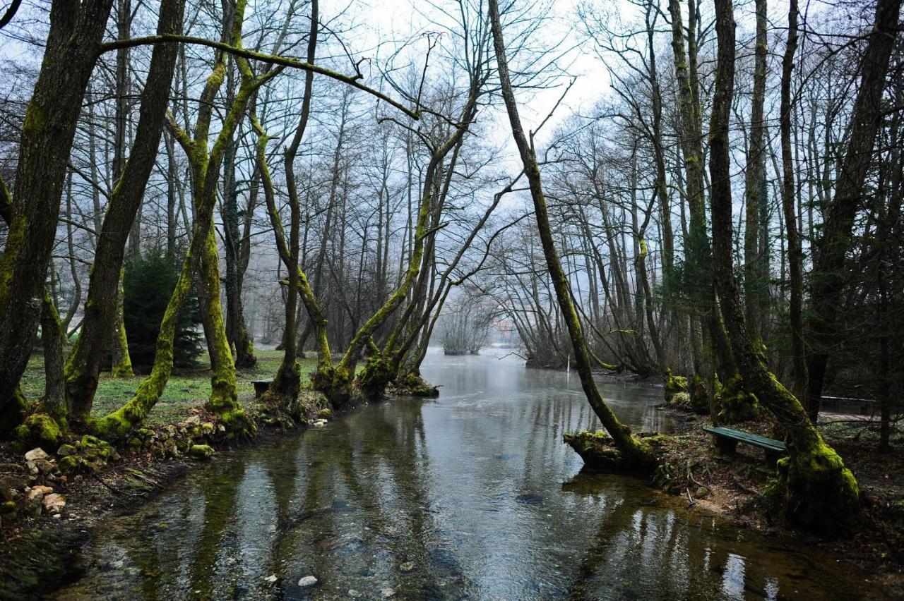 Villa Vrelo Bosne