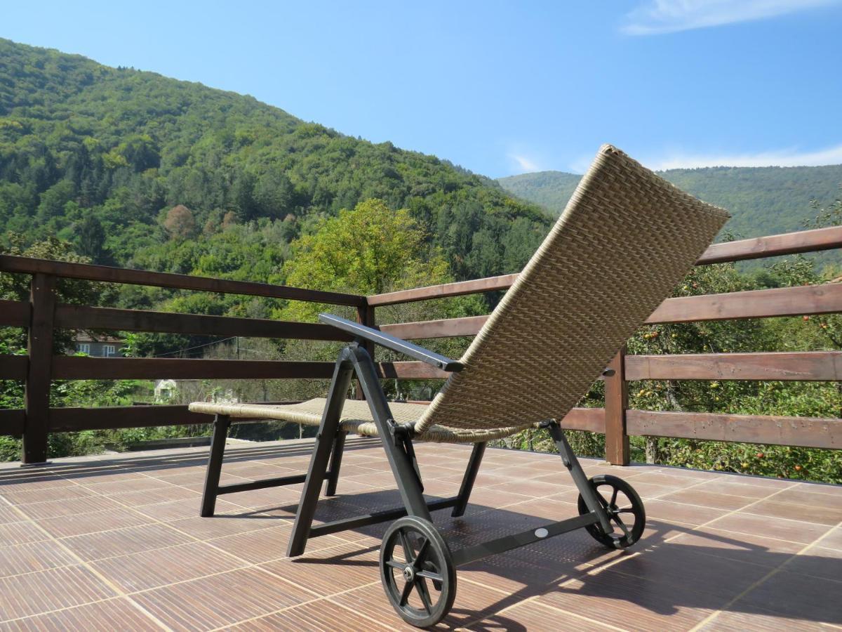 Vrelo Bosne