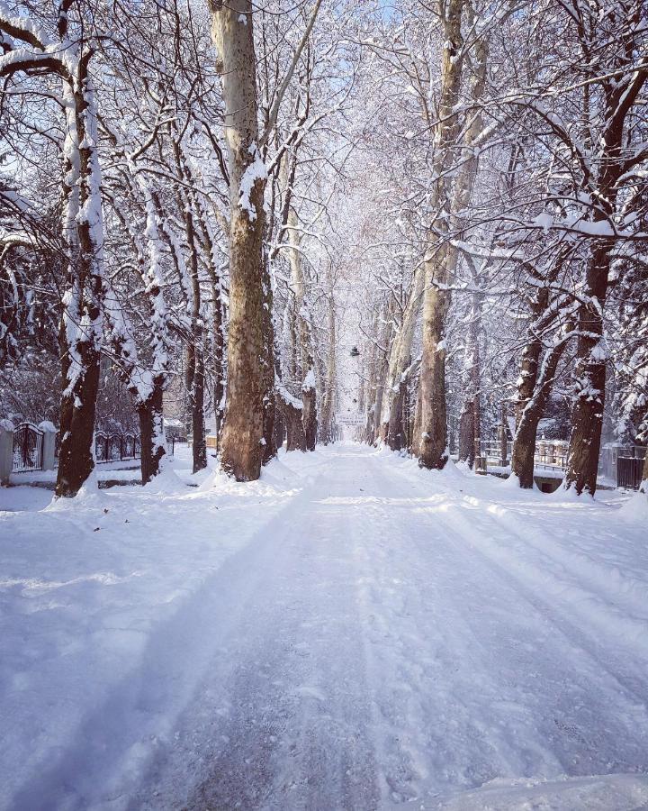 Vrelo Bosne Villa Sarajevo